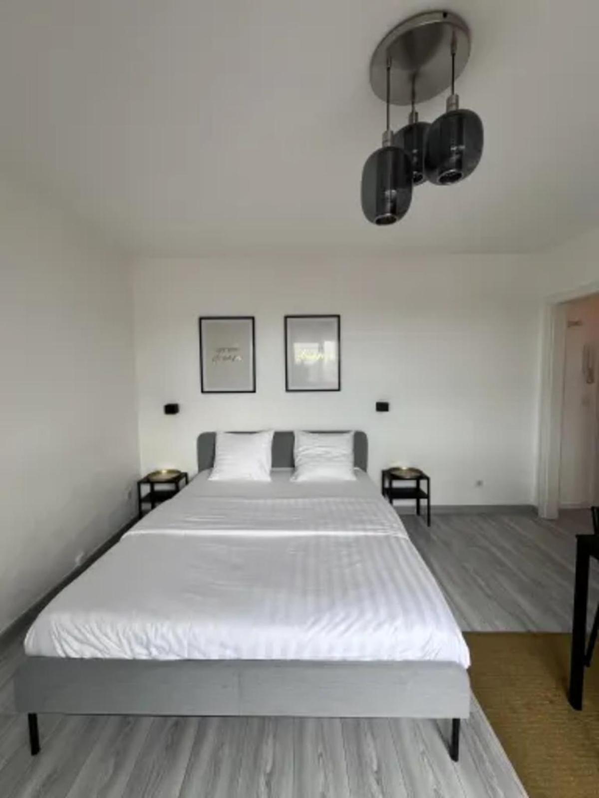 Cosy Rent Strasbourg Wifi Terrasse St Aloise Villa Dış mekan fotoğraf